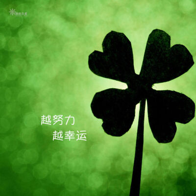 小飞侠熙熙 幸运，不会凭空而来！