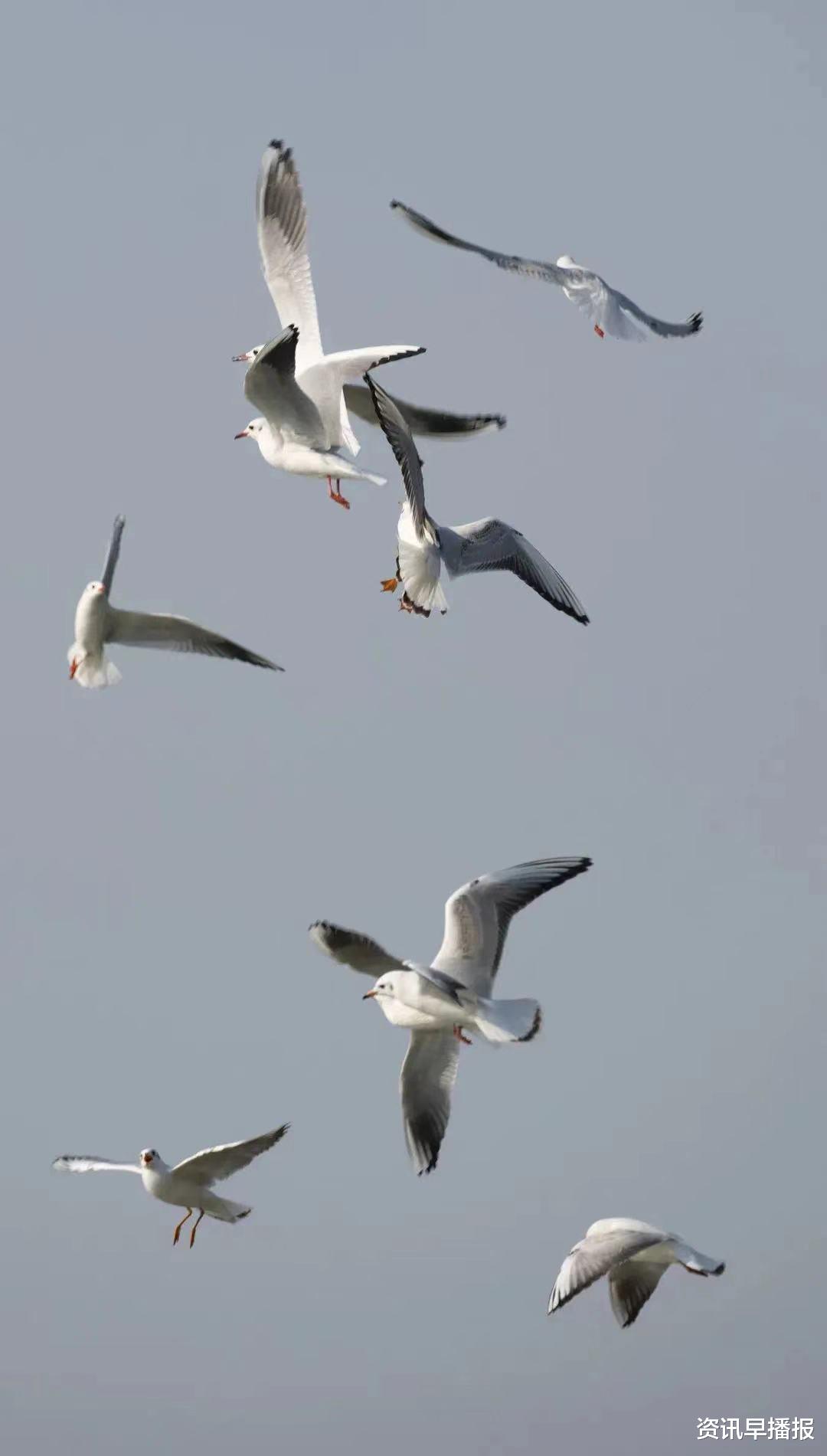 苏州太湖|每一个地方都有其独特的气息,那苏州太湖边生活是什么样子的呢?