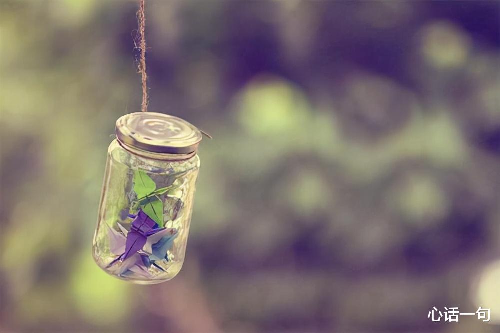 苹果 一个人不会成功的两大特点：间歇性努力，持续性躺平