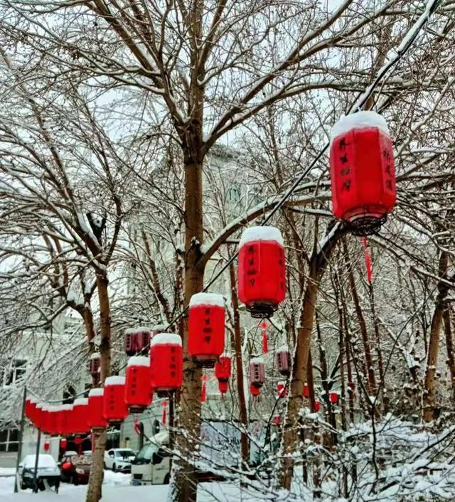 虎年拍雪不马虎,五个摄影技巧,把雪景照片拍得更漂亮
