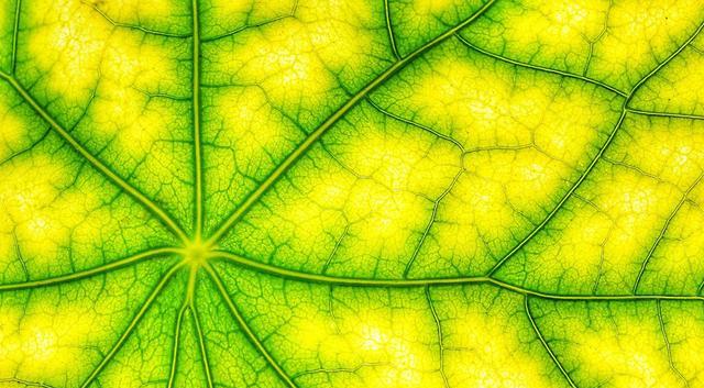 越运动人的寿命就越短?科学家研究发现,氧自由基会破坏细胞结构