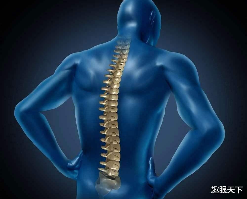 地球是巨大的培养皿，人类是研究品？科学家：3大特征或是证据