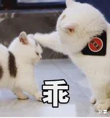 豪门|赌王二房女儿何超云和香港消防队员订婚了？