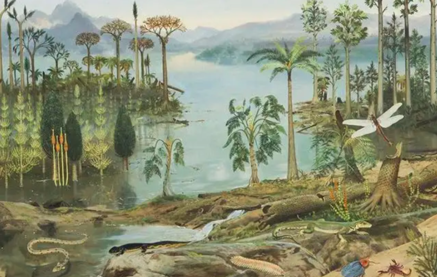 100多米厚的煤层是怎样形成的?远古地球上,植物真有那么多吗?