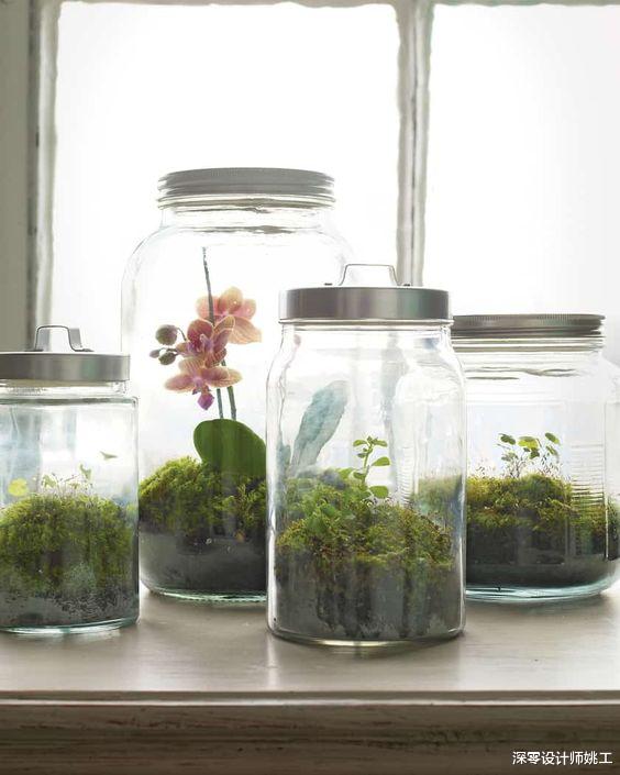 小户型造景必备的11个好东西,点缀日常好心情,让生活变得更美丽