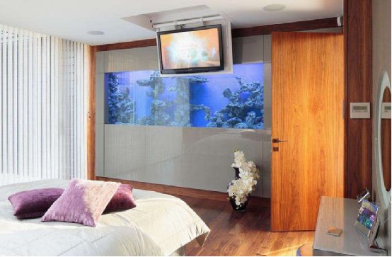 卧室最好不摆放这些东西，好多人不当一回事，摆错了招霉运