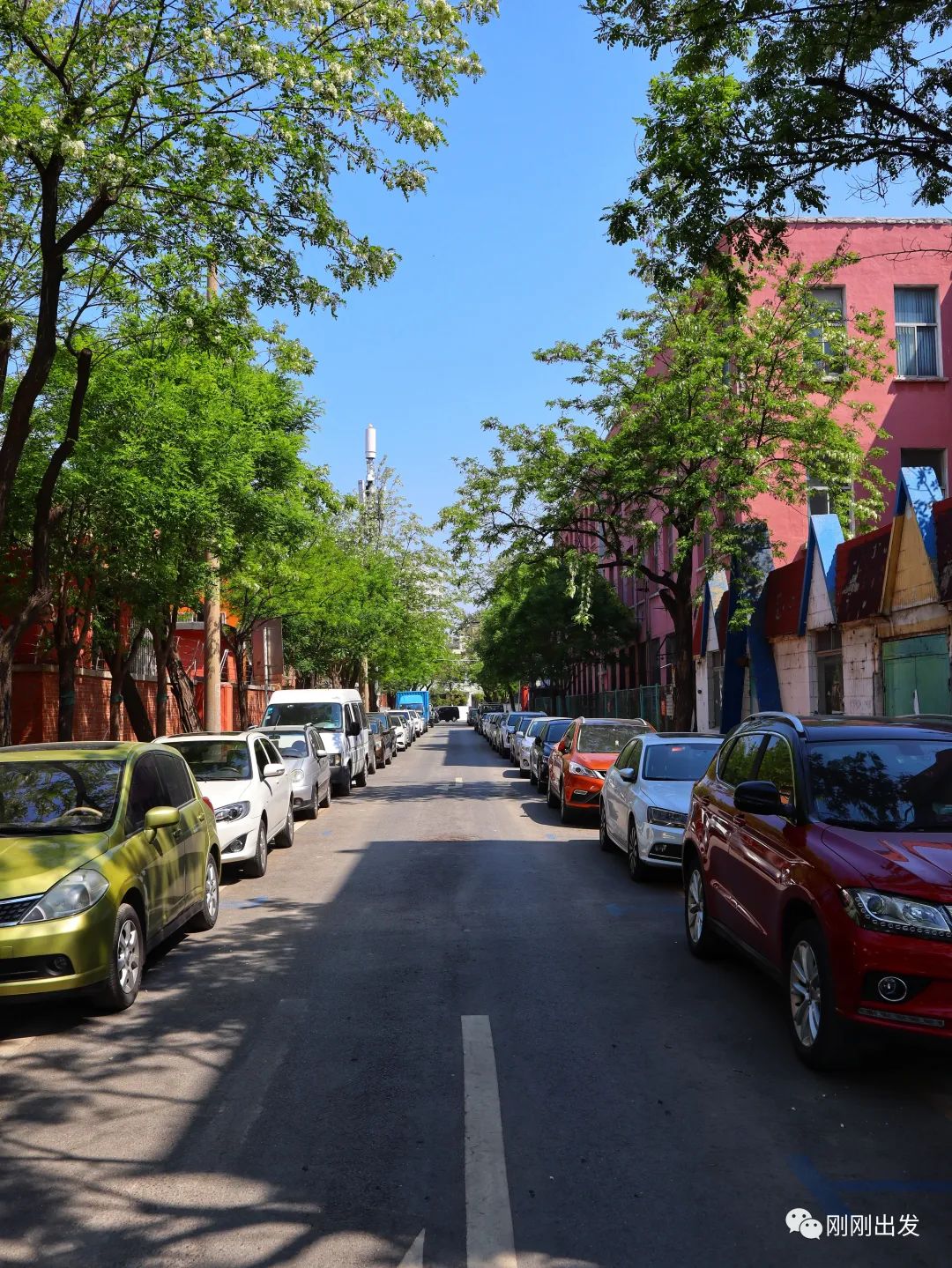 大连|大连景点丨槐花社区