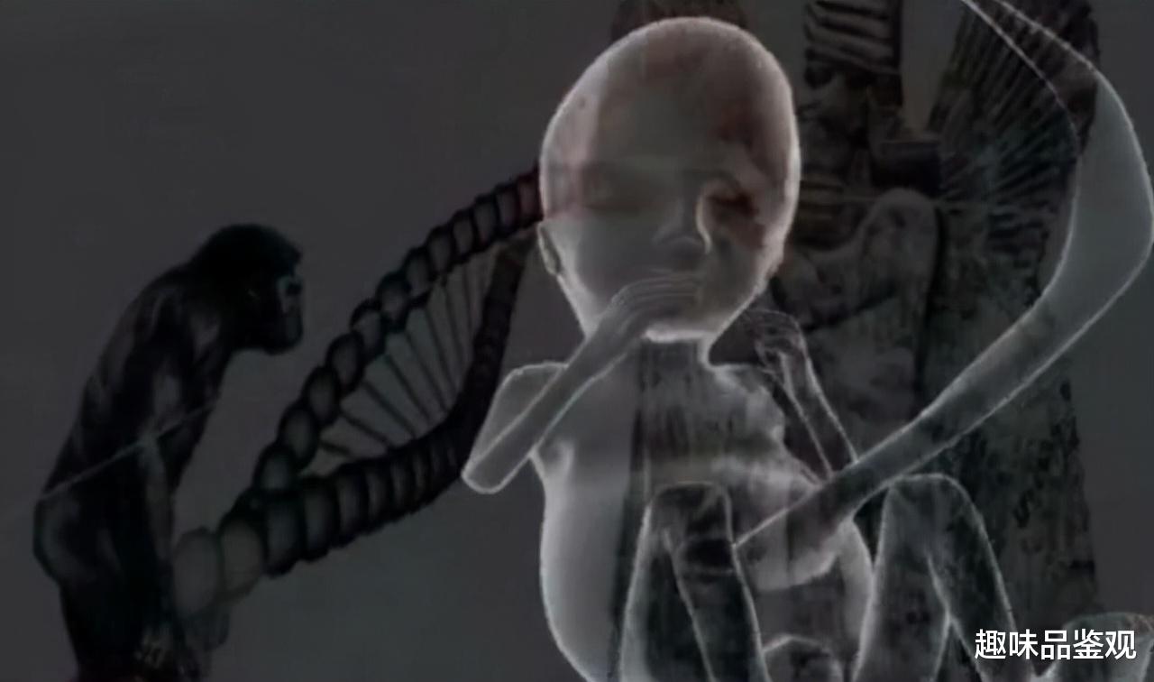 尼比鲁星真实存在?是纳菲利姆人创造了人类,我们都是工具人?