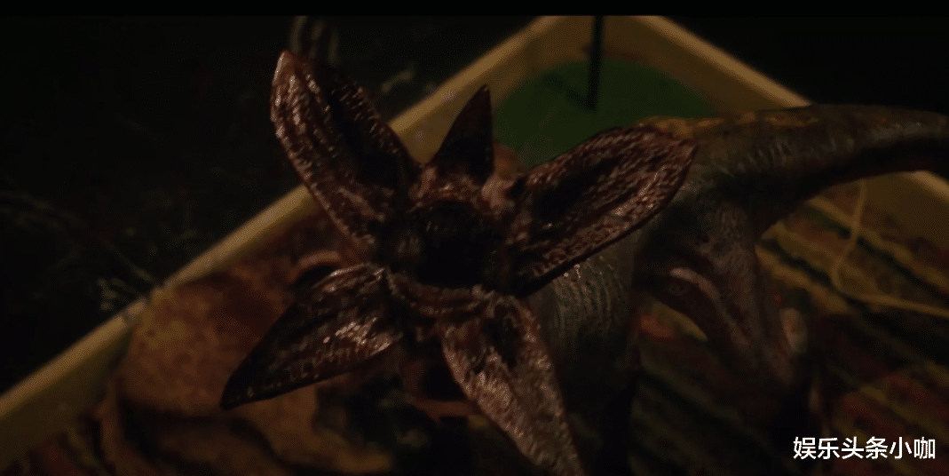 怪奇物语|神剧又杀疯了！一秒都别删！