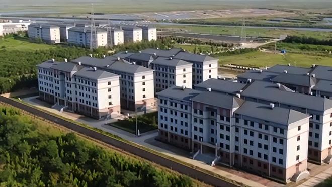 “火”起来的天津“骨灰楼”:小区16栋楼“入住”十万骨灰盒,地下室最贵