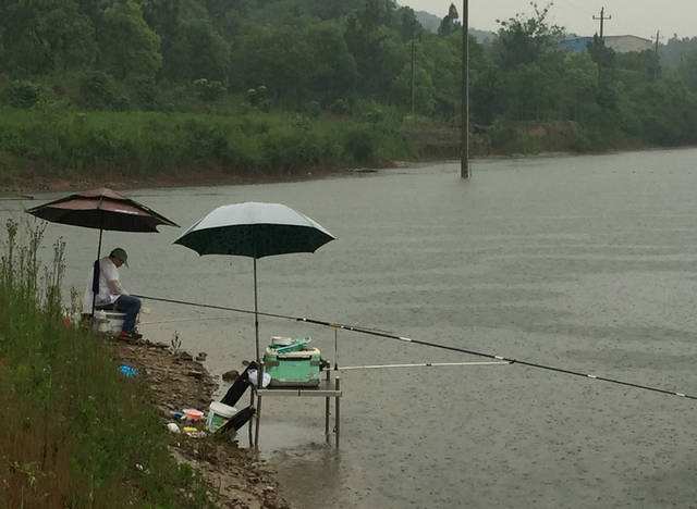 秋老虎|野钓时怎么应对“秋老虎”？做好5个调整，照样能过足钓鱼瘾