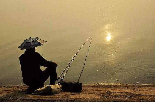 两只老虎|钓友们说的最后钓一条收杆鱼，是想追求完美，还是恋恋不舍？