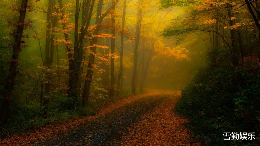 池塘|记钓鱼的一天