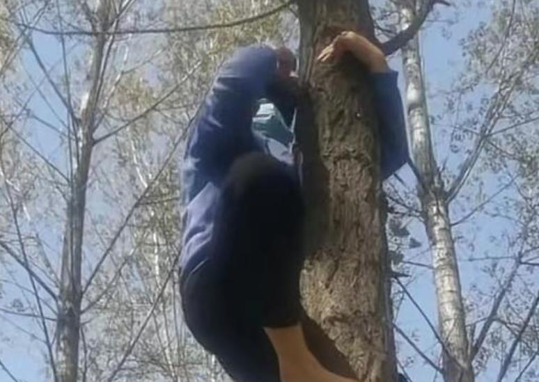 奇奇|姚威老爸上树摘枇杷，疑摘果给奇奇悦悦，与姚威背影傻傻分不清