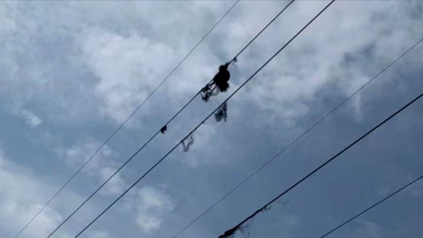 四川省|钓鱼触碰高压线！四川男子被电击飞，鱼竿炸成棉絮状，为何？