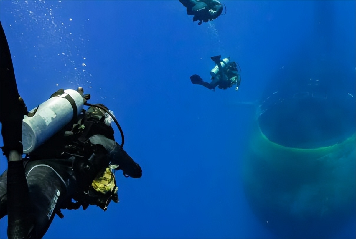 绝密文件曝光!海底3米生物浑身透明,在深海建立水下文明?