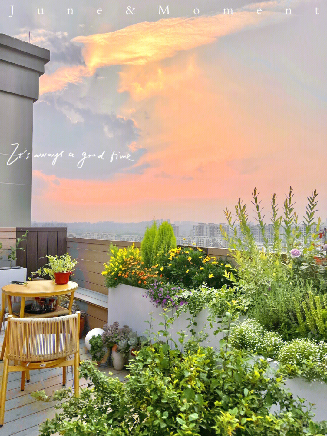 为了一个露台,买了栋顶楼的房子,建个“空中花园”,太美了!