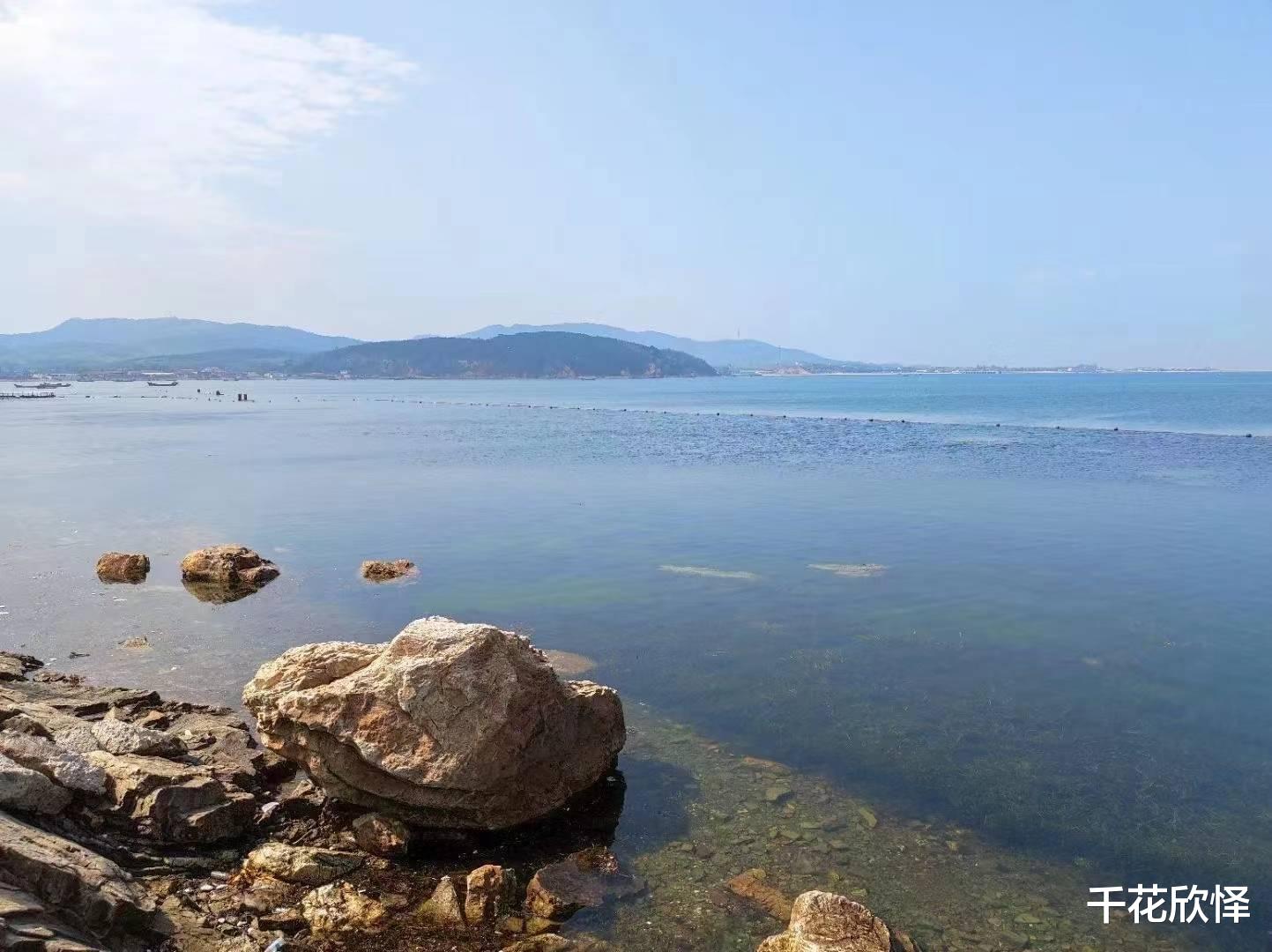 晋宣帝|看“大军师”司马懿怎么混职场