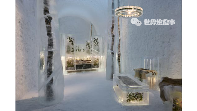 欧洲旅游|瑞典皇家冰雪酒店-ICEHOTEL再次营业！