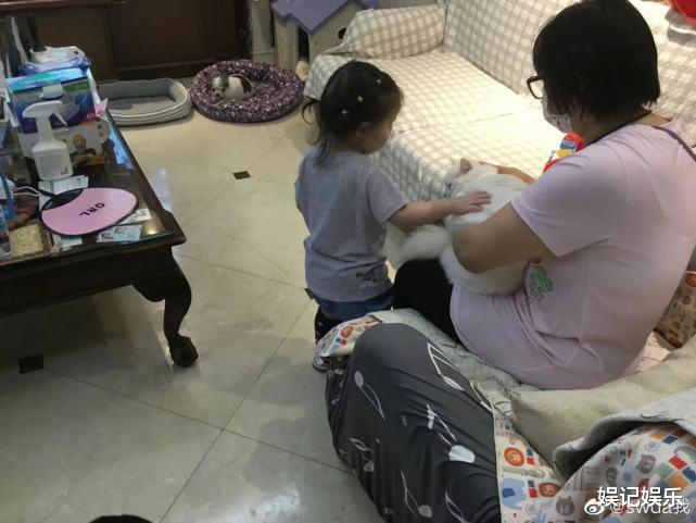 郭碧婷|郭碧婷6月生子，向佐已到台北跟妻儿团聚，郭爸开心晒女婿的礼物