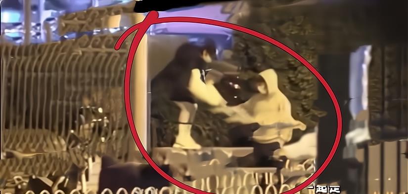 马国明|张继科深夜带2名美女回家！随后牵手女生去诊所，旁边还有一男孩