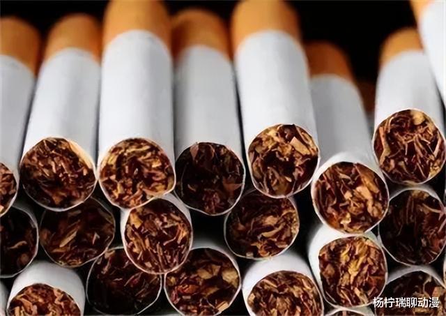 价值21万元香烟被充公，男子怒告烟草：自己的烟自己运，凭啥没收