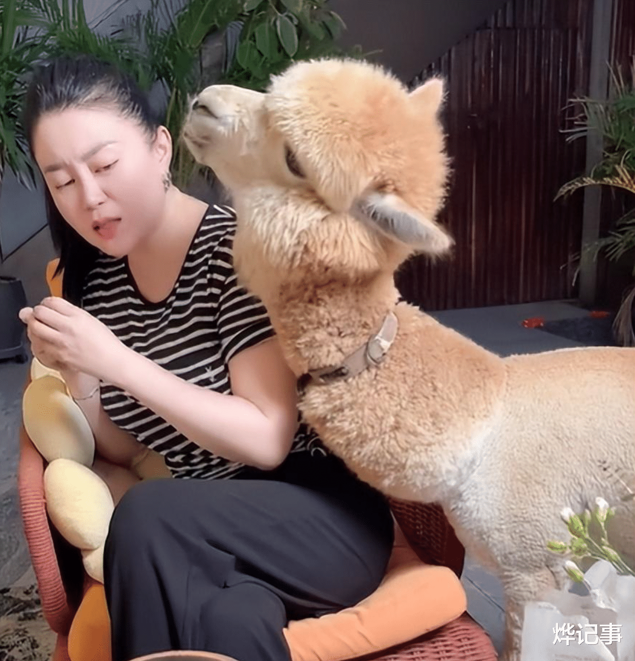 关婷娜|赵本山《乡村爱情》里的女演员,都这么豪横吗?