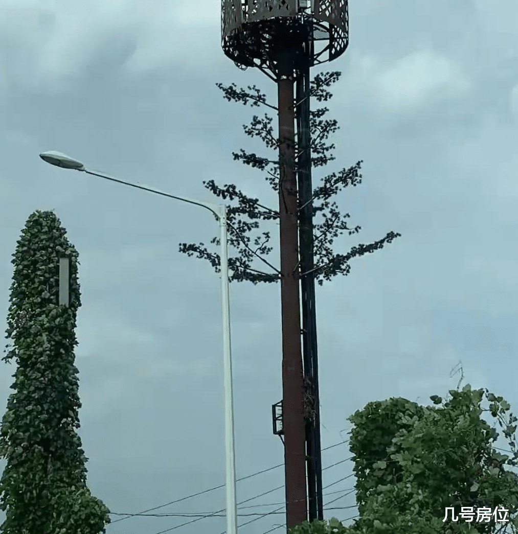 韩国|开放的“韩国”现状，带你看看真实的韩国