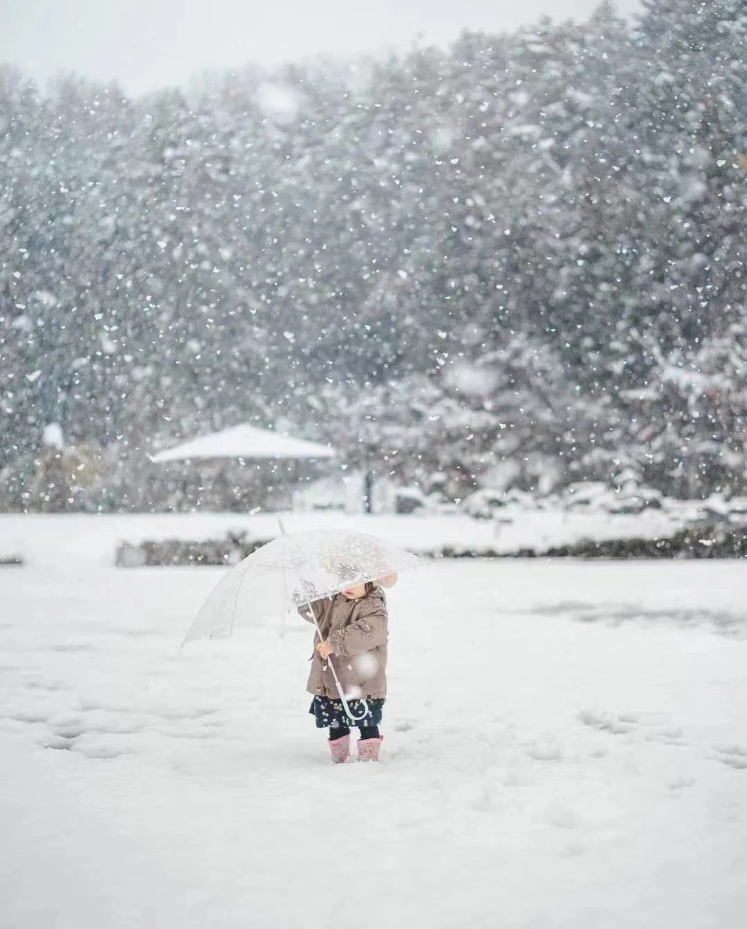 这些实用的儿童摄影技巧,专业摄影师都在用