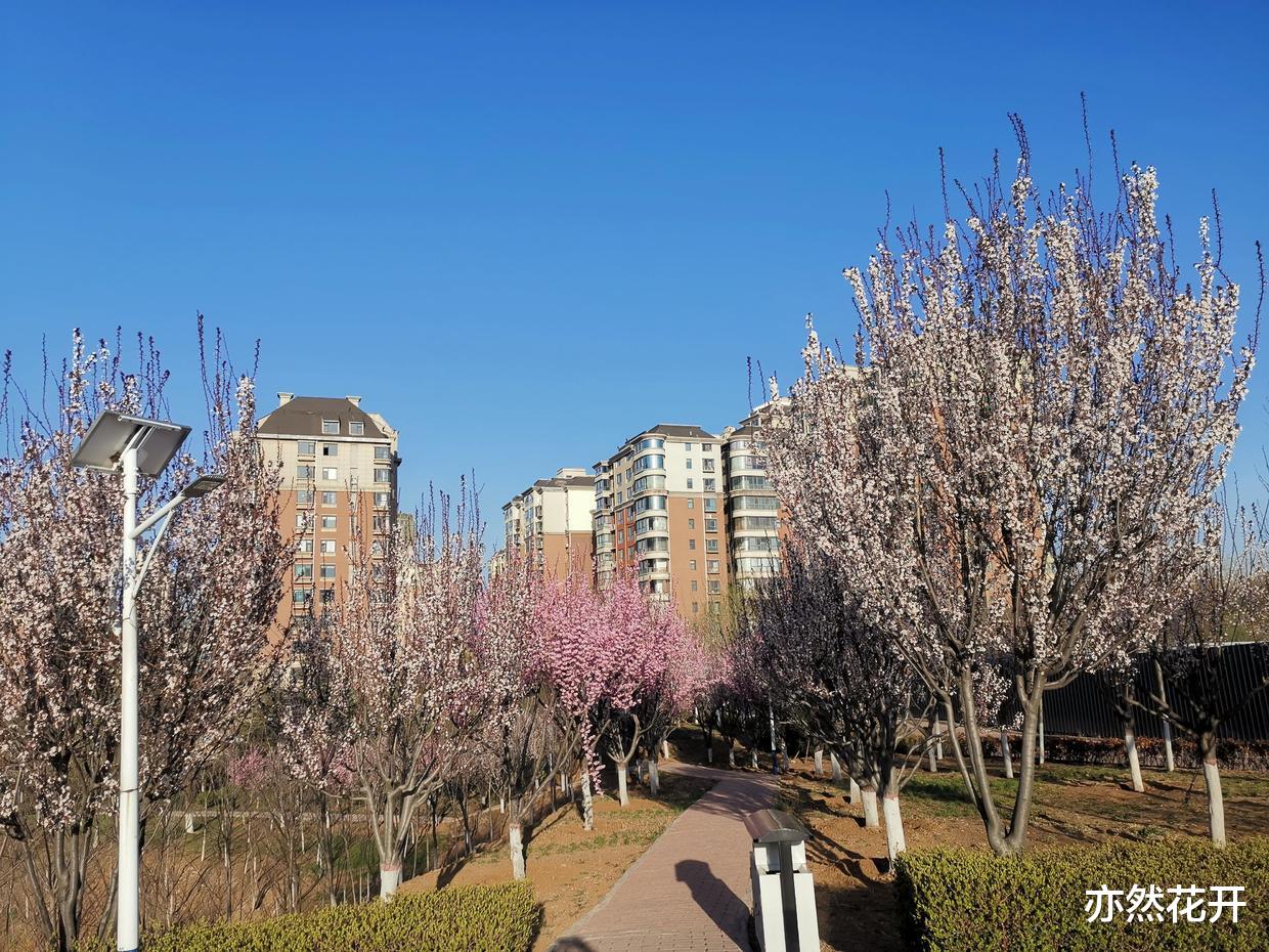 |提高职场写作能力，为自己创造无限的可能