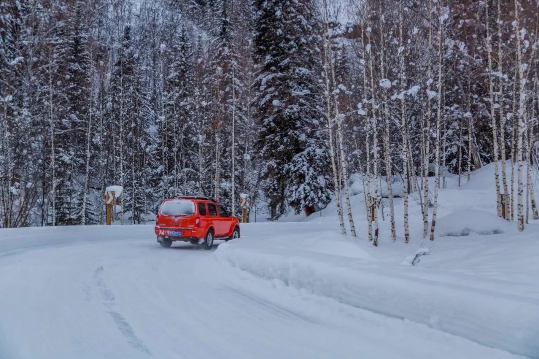 喀纳斯|喀纳斯,西北边境的原始小城,跨越千山万水,只为一刻的心灵悸动