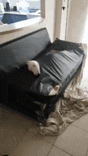 |“钓鱼钓出来个破石头，看起来很值钱”还是放回去心里踏实点