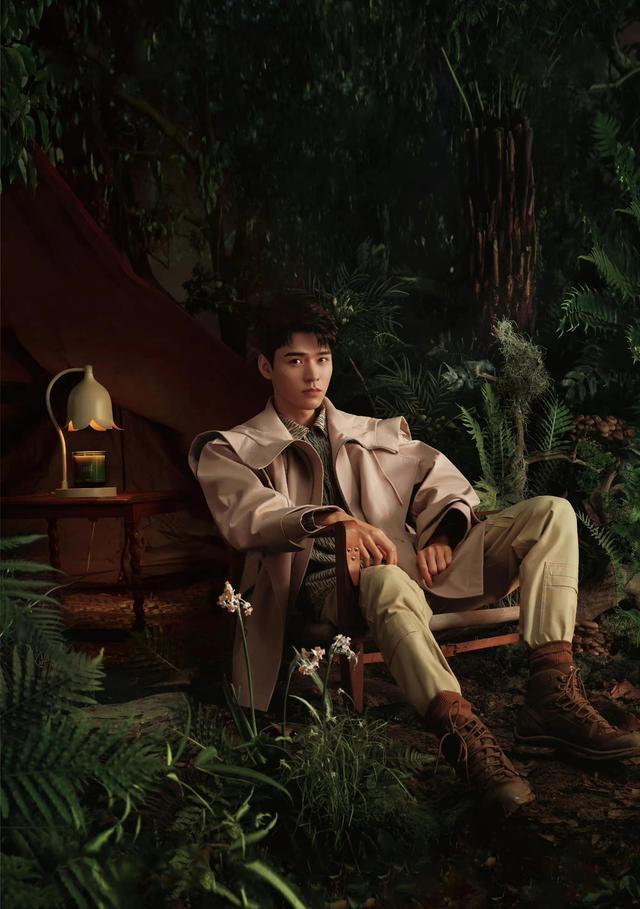 高圆圆|夜里聆听龚俊《野兽的花》