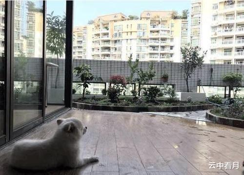 阳台|老公花5万在阳台建花园，刚享受没几天，楼下商铺让我们赶紧拆掉