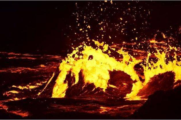 球上最耐热的动物,把“火山”当游泳池,连科学家也想不明白