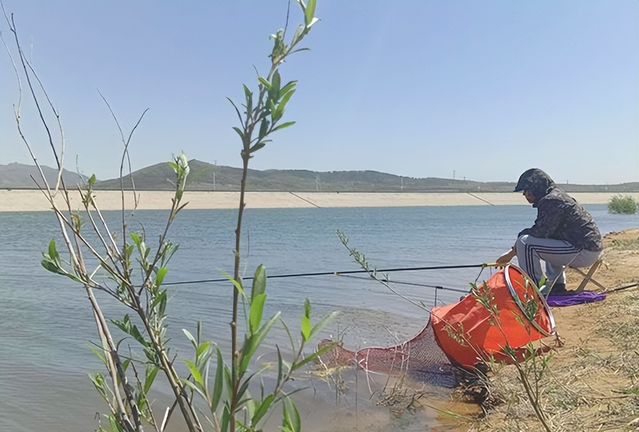 |春季野钓想“爆护”，只需掌握4个“密码”，让你渔获满满