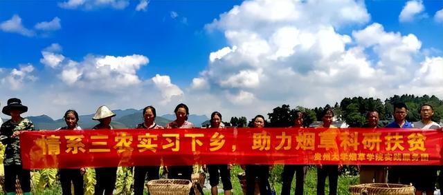 招聘|中国烟草面向社会招聘，平均年薪可达10-16万，30岁以下都有机会