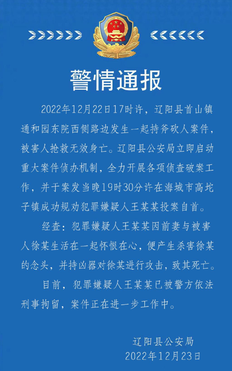 辽宁发生重大刑案,男子当街持斧头行凶将人砍死,警方回应了