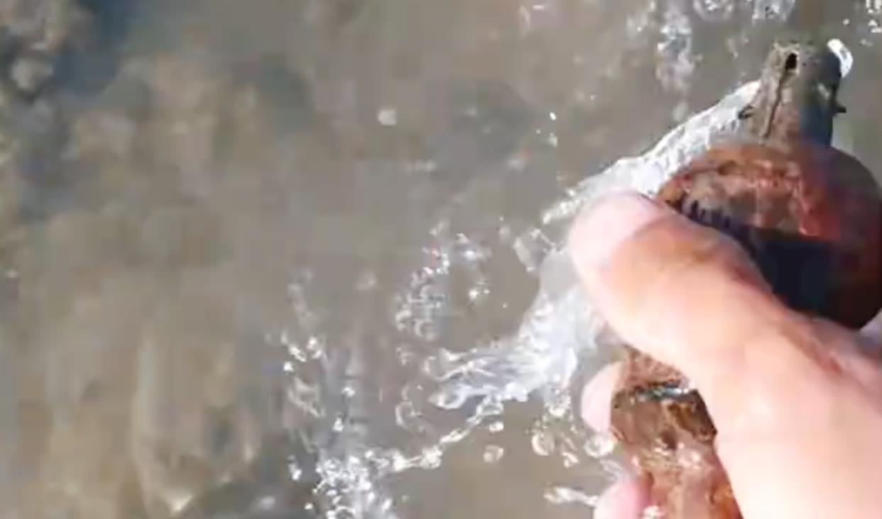 手雷|男子钓鱼捡了个“铁疙瘩”，拿回家弄清以后报警，原来源自日本人