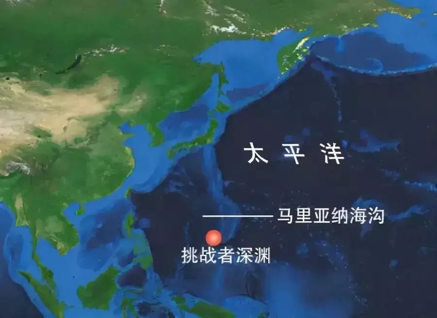海底10000米处的压力到底有多强?鱼会被压扁吗?