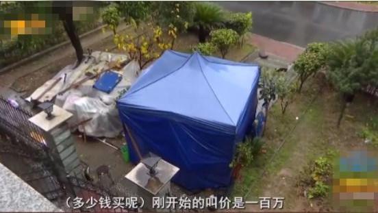 别墅|花628万买法拍别墅，原房东父母在院子搭帐篷：给100万才走