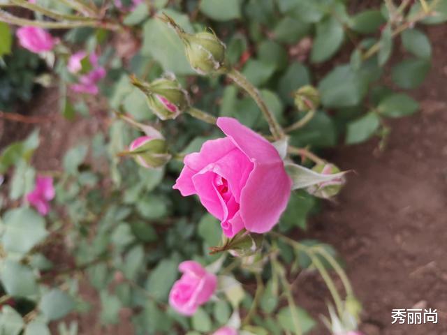 我每做错一道题妈妈就奖励我1元钱,错着错着我就考上清华了