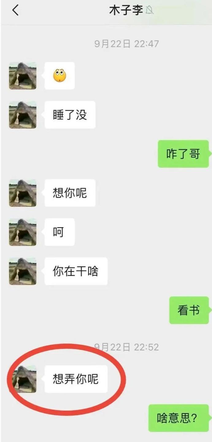 河南一村支书被指性骚扰女性,聊天文图不堪入目,本人回应:不是我发的,准备报警