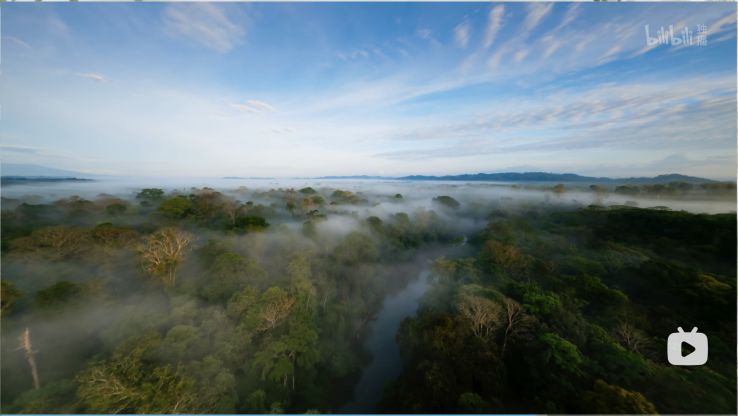 电影|2022最值得看的片单推荐