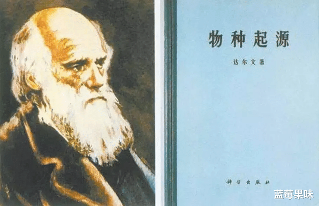 乌龟成为科学家们的“噩梦”,为何?堪称进化论的终极bug