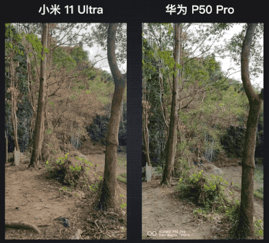 iPhone|不怕不识货就怕货比货,2021年最强拍照手机横评