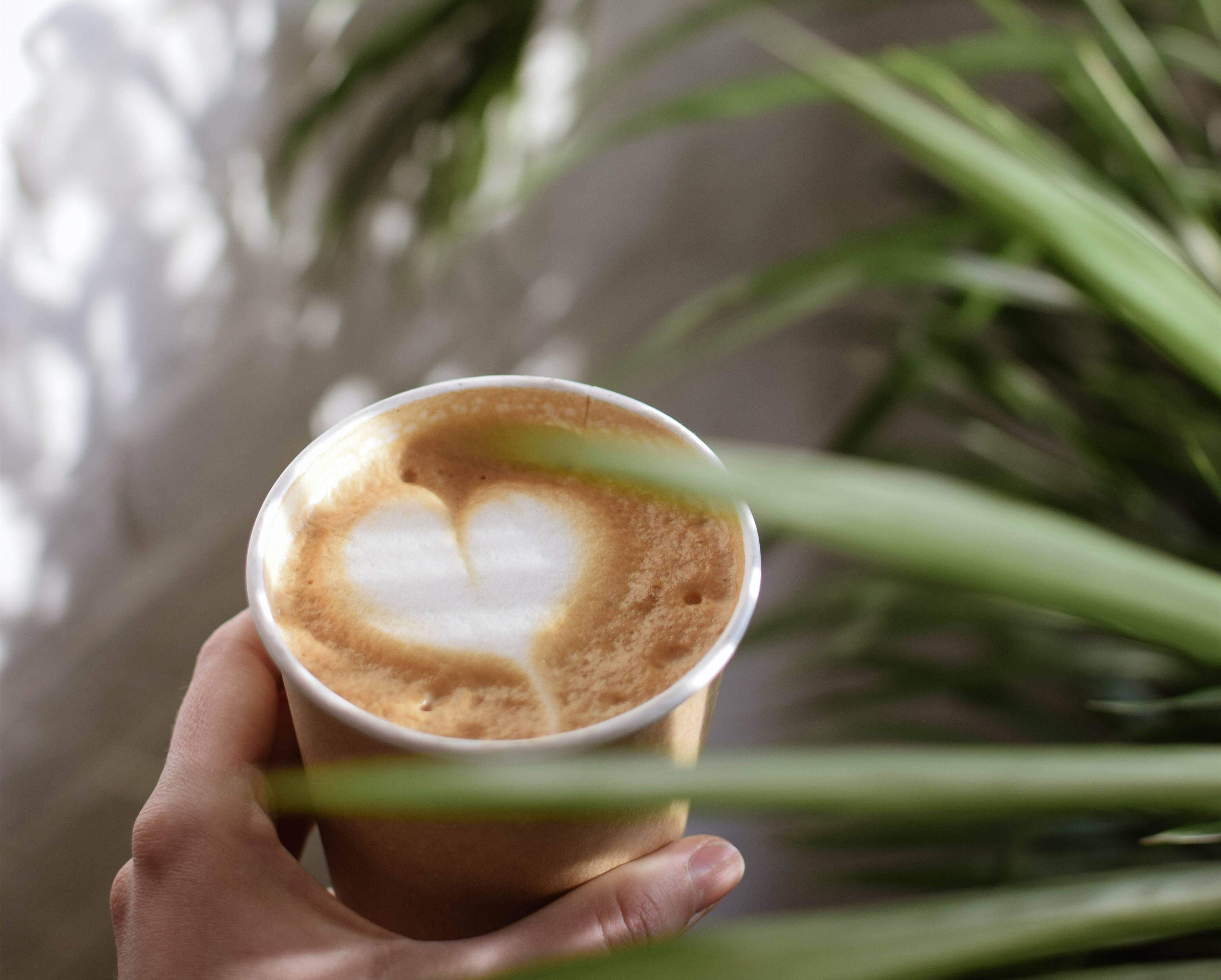 亮健节气物语：今日小雪，心怀光芒，无惧风霜，愿你初心如雪