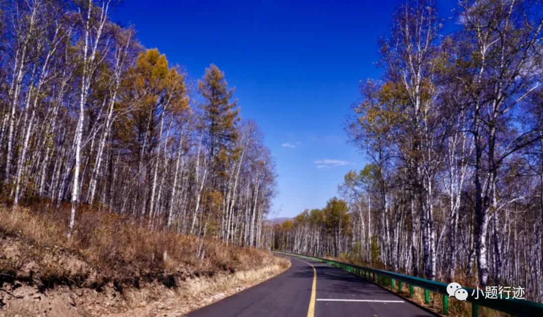 阿尔山|阿尔山的秋天可以有多美?美到醉景,美到来了不想走!