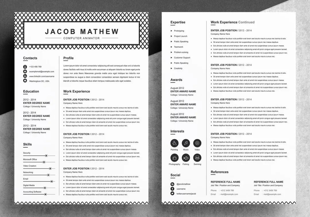 |国外简历设计欣赏