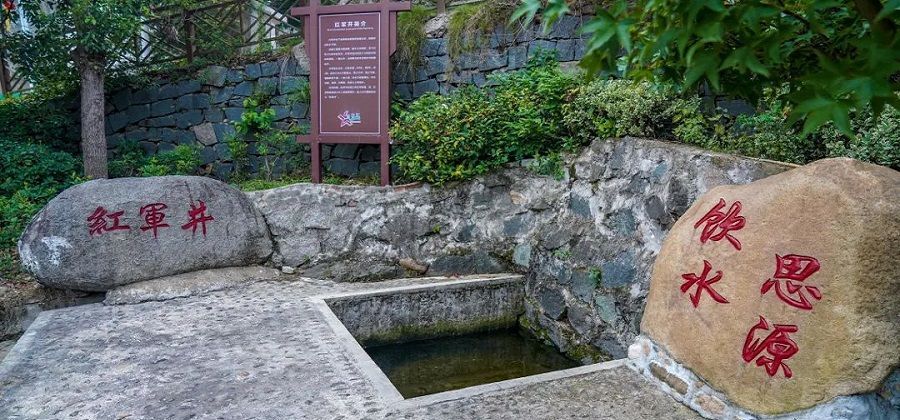 原始森林|在原始森林中穿行,这条华东网红公路,越野自驾爱好者的理想路线